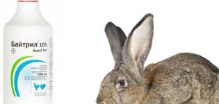 Sammensætning og instruktioner til brug af Baytril til kaniner, dosering
