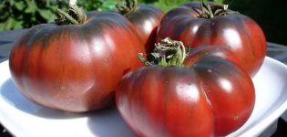 Negritenok domates çeşidinin özellikleri ve tanımı, verimi