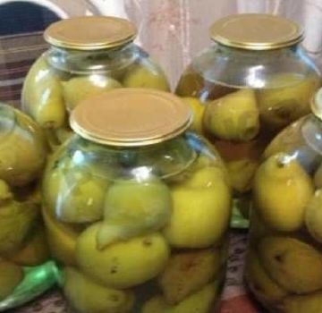 TOP 10 recepten voor perencompote met en zonder citroenzuur voor de winter, met en zonder sterilisatie