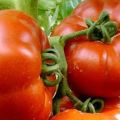 Opis i cechy pomidora Rajska radość, produktywność