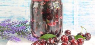 TOP 7-recept för konservering av grova körsbär med socker i sin egen juice för vintern