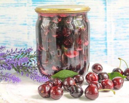 TOP 7 recipes for canning pitted cherries with sugar in their own juice for the winter