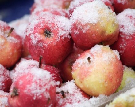 Cum să înghețe merele acasă pentru iarnă la congelator