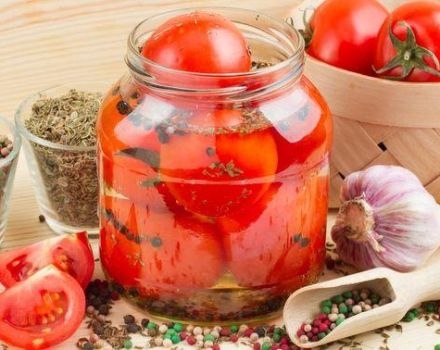 Yksinkertainen resepti keittämiseen jälkiruoka tomaatit sipuleilla talveksi