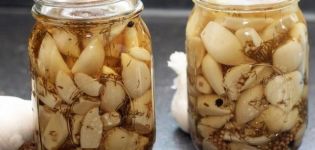 A step-by-step recipe for cooking garlic for the winter in oil