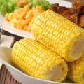 What family and species does corn belong to: vegetable, fruit or cereal