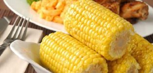K čemu rodina a druh kukuřice patří: zelenina, ovoce nebo obiloviny