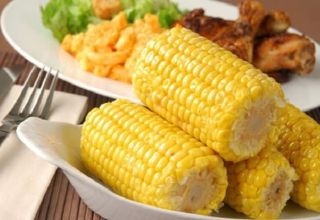 What family and species does corn belong to: vegetable, fruit or cereal