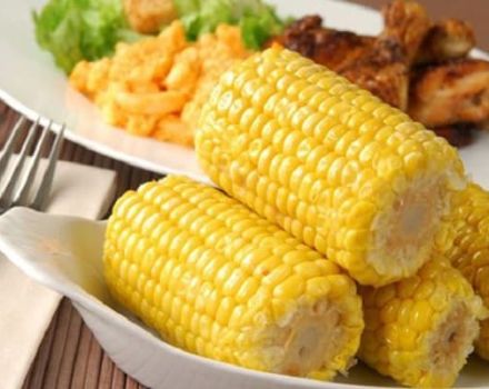 Hvilken familie og art hører majs til: grøntsag, frugt eller korn