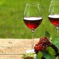 9 jednoduchých receptov krok za krokom o tom, ako vyrobiť víno z červeného ríbezlí doma