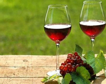 9 vienkāršas soli pa solim receptes, kā mājās pagatavot sarkano jāņogu vīnu