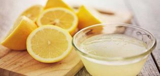 Milyen arányban kell az ecetet citromsavval helyettesíteni tartósítás céljából