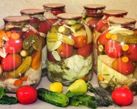 TOP 6 heerlijke recepten voor het maken van ingemaakte groenten voor de winter