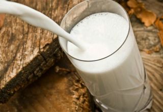 Why milk smells like a cow, what to do and how to remove the stench