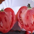 מאפיינים ותיאור זני עגבניות אוהבים לב ולב שמן אדום, פריון שלהם