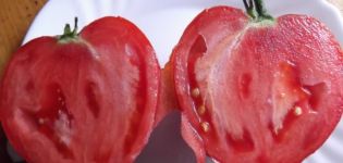 Tomaattilajikkeiden ominaisuudet ja kuvaus Rakastava sydän ja punainen öljysydän, niiden tuottavuus