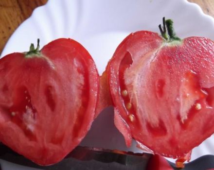 Χαρακτηριστικά και περιγραφή των ποικιλιών ντομάτας Καρδιά αγάπης και κόκκινη καρδιά, η παραγωγικότητά τους