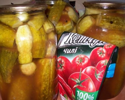 Opskrifter på agurker med chili-ketchup til vinteren i liter krukker