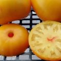 Caratteristiche e descrizione della varietà di pomodoro Bacio della nonna, la sua resa
