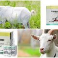 Composizione e istruzioni per l'uso di Estrofana per capre, dosaggio e analoghi