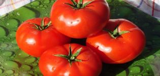 Alaska domates çeşidinin üretkenliği, özellikleri ve tanımı