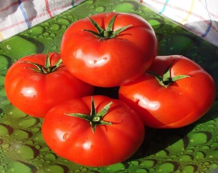Productivity, characteristics and description of the Alaska tomato variety