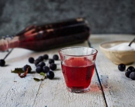 TOP 8 des recettes simples pour faire du vin de prunelle à la maison