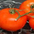Hunaja-tomaattilajikkeen kuvaus ja sato