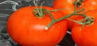 Opis odmiany pomidora miodowego i jej plon