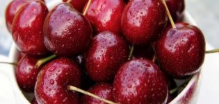 Karakteristike i opis sorti trešnje Vasilisa, sadnja i njega