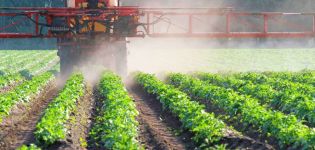 Upute za uporabu herbicida Balerina i stope potrošnje