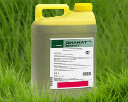 Herbisit Dianat'ın kullanım ve tüketim oranı için talimatlar