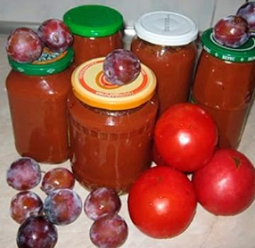 Recipes for ketchup from plums for the winter at home you will lick your fingers