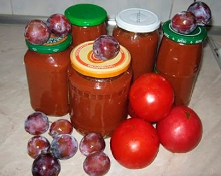 Mga resipe para sa ketchup mula sa mga plum para sa taglamig sa bahay ay makikita mo dilaan ang iyong mga daliri