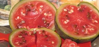 Lækker bedstemors opskrift på, hvordan man salter vandmeloner i en tønde til vinteren