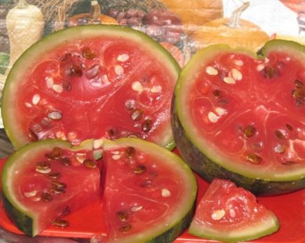 وصفة الجدة اللذيذة لكيفية ملح البطيخ في برميل لفصل الشتاء