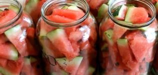 Receptes arbūzu konservēšanai ziemai bez sterilizācijas