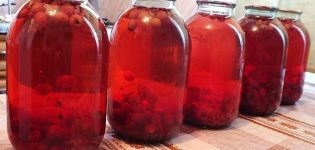 TOP 10 einfache Rezepte für die Herstellung von rotem Vogelkirschkompott