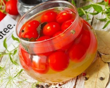 TOP 10 garšīgu marinētu ķiršu tomātu receptes ziemai, kuru laizīsit ar pirkstiem