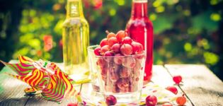 5 pinakamahusay na mga recipe ng juice ng gooseberry sa isang juicer para sa taglamig