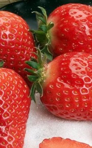 תיאור של תותי תושבי גריגואטה, שתילה וכללי טיפול