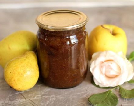 TOP 6 yksinkertaista reseptiä omena- ja päärynähillojen valmistamiseksi talveksi