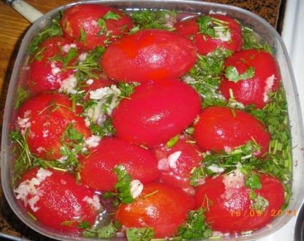 5 najlepších instantných paradajkových receptov marinovaných s cesnakom