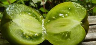Descripción de la variedad de tomate Princess Frog y sus características