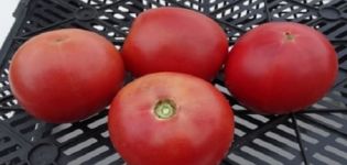Beskrivelse af Alesi-tomatsorten og dens egenskaber