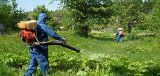 Description des meilleurs herbicides de la berce du Caucase et des règles de traitement des médicaments