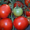 Beschreibung der Tomatensorte Dicke Wangen und ihre Eigenschaften