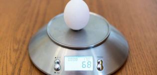 How many grams does one chicken egg weigh and deciphering the markings
