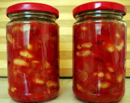 Läckra recept på hur man lagar lecho med bönor för vintern