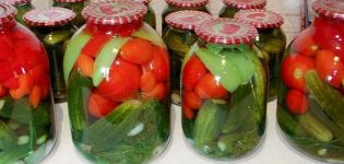 TOP 8 delicious recipes for pickled cucumbers with tomatoes for the winter